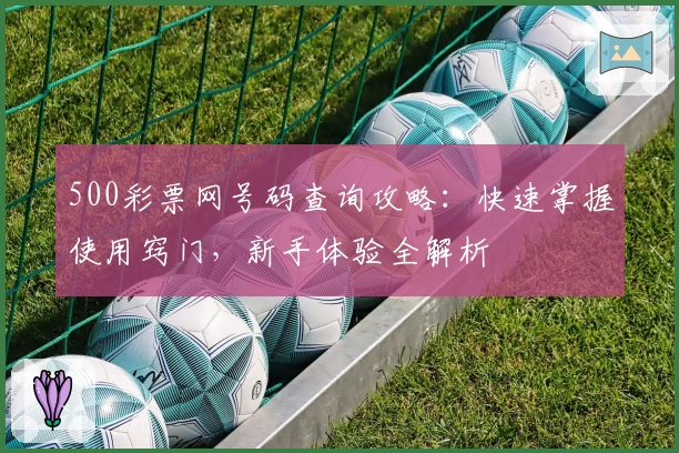 500彩票网号码查询攻略：快速掌握使用窍门，新手体验全解析