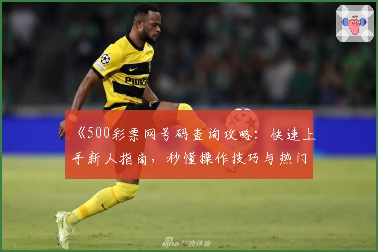 《500彩票网号码查询攻略：快速上手新人指南，秒懂操作技巧与热门功能亮点》