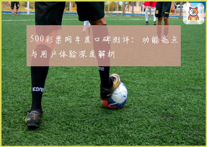 500彩票网年度口碑测评：功能亮点与用户体验深度解析