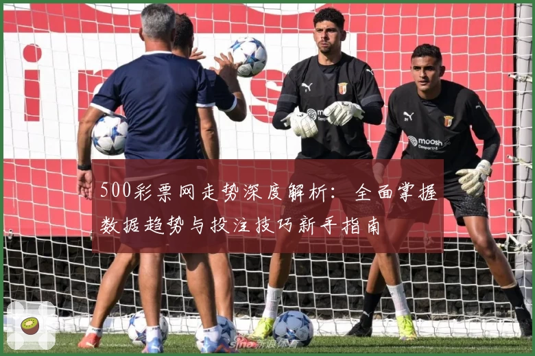 500彩票网走势深度解析：全面掌握数据趋势与投注技巧新手指南