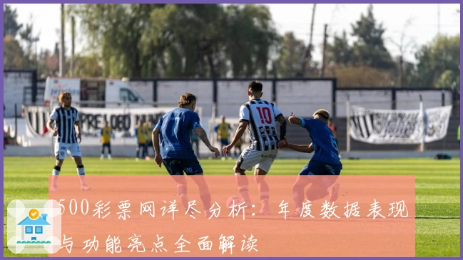 500彩票网详尽分析：年度数据表现与功能亮点全面解读