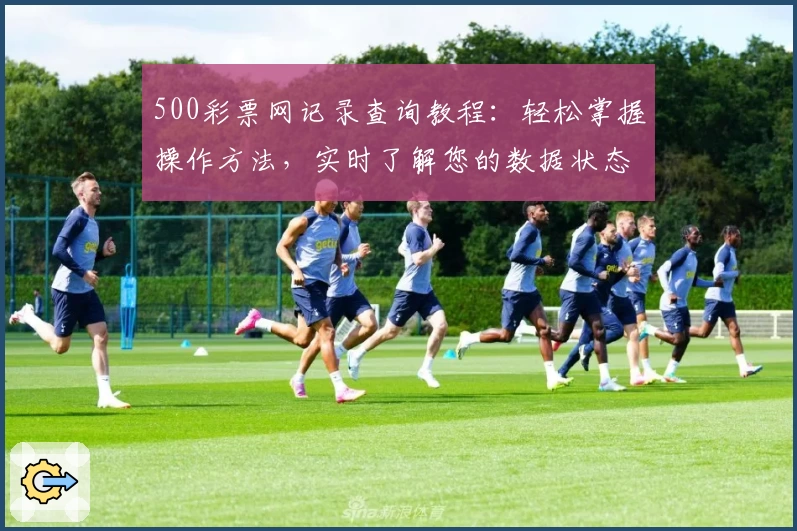 500彩票网记录查询教程：轻松掌握操作方法，实时了解您的数据状态
