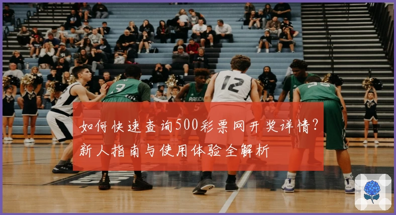 如何快速查询500彩票网开奖详情？新人指南与使用体验全解析