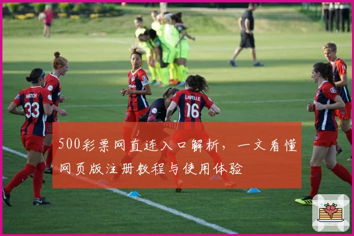 500彩票网直连入口解析，一文看懂网页版注册教程与使用体验