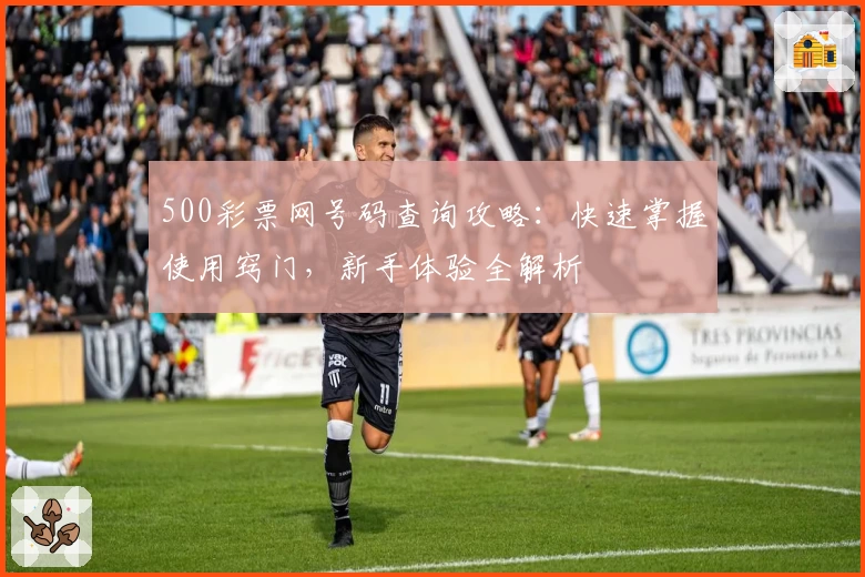 500彩票网号码查询攻略：快速掌握使用窍门，新手体验全解析