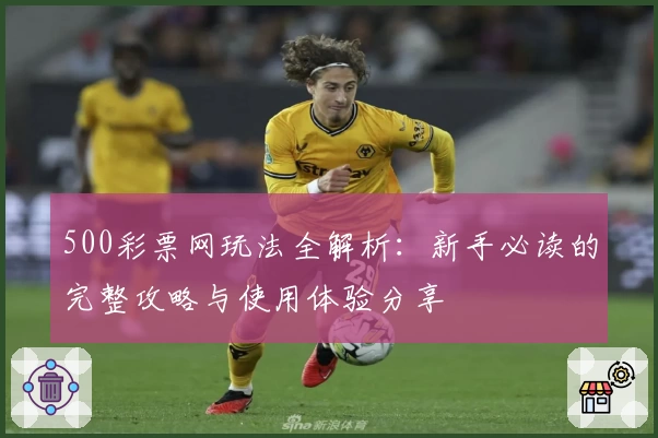 500彩票网玩法全解析：新手必读的完整攻略与使用体验分享