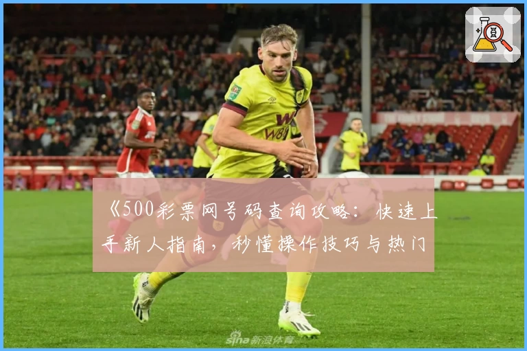 《500彩票网号码查询攻略：快速上手新人指南，秒懂操作技巧与热门功能亮点》