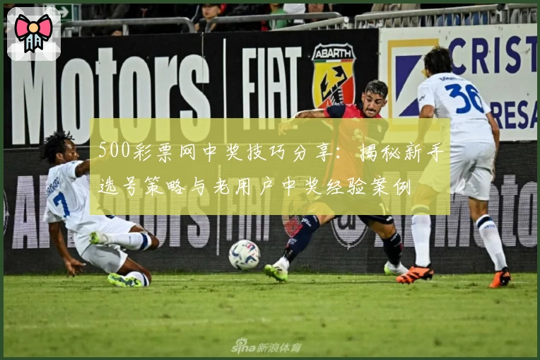 500彩票网中奖技巧分享：揭秘新手选号策略与老用户中奖经验案例